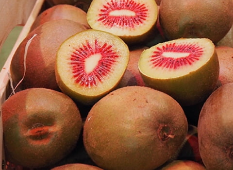 تصویر 4 از قیمت خرید کیوی تو سرخ + فروش ویژه